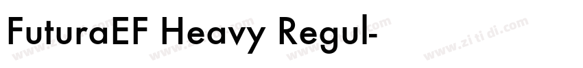 FuturaEF Heavy Regul字体转换
